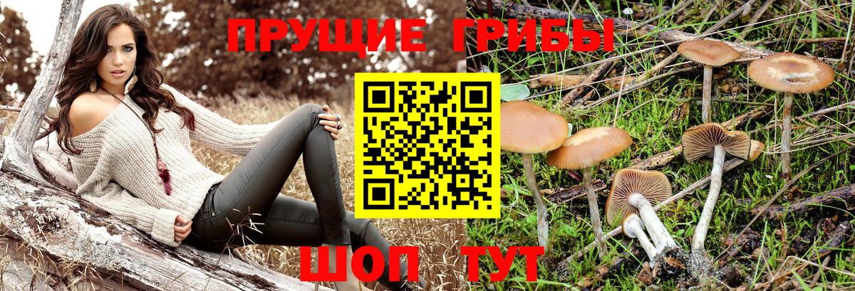 сколько стоит  Вход с VPN  Горячий Ключ  Галлюциногенные грибы ЛСД 
