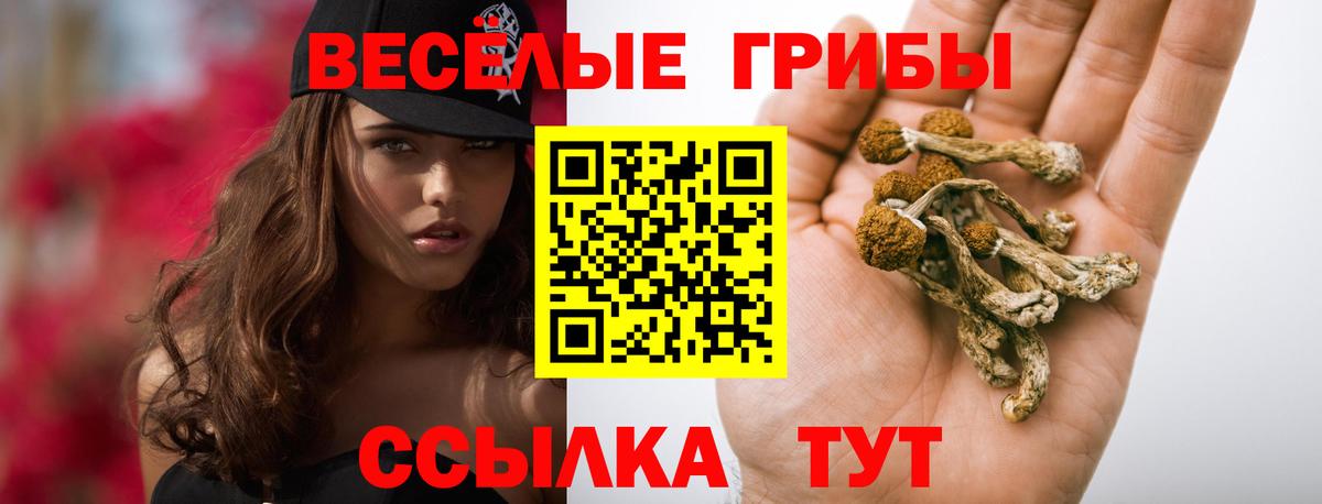 Галлюциногенные грибы прущие грибы Горячий Ключ