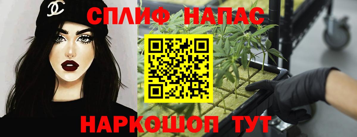 Горячий Ключ  Бошки марихуана семена  Вход с VPN  Каннабис White Widow 